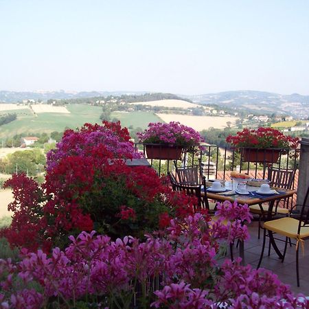 Ripa La Terrazza Fio...Rita Bed & Breakfast エクステリア 写真